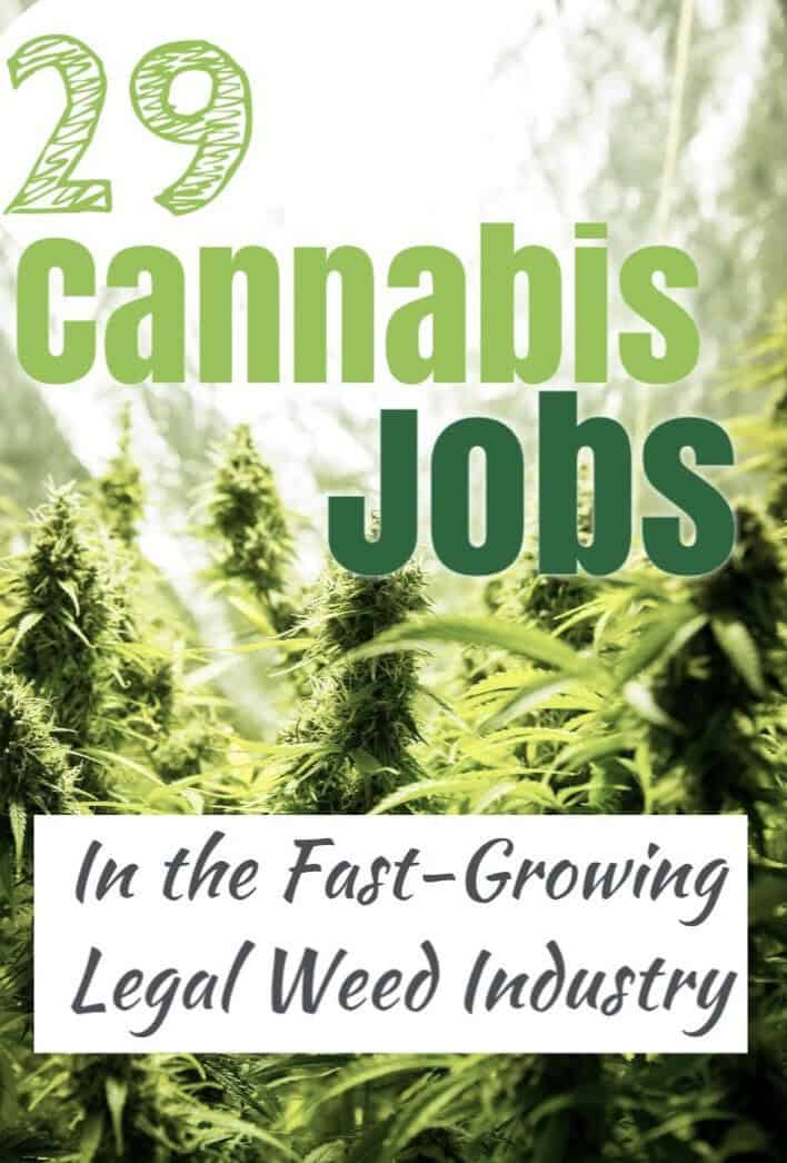 29 Awesome Cannabis Jobs in the Legal Weed Industry