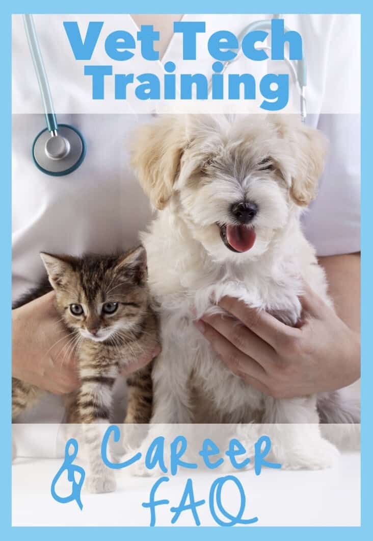 Vet Tech Schools Veterinary Assistant Programs Near You   Veterinary Technician Pinterest 